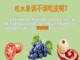 初中  生物  人教版（2024）  七年级上册  第一单元   第二章 认识细胞 第二节 植物细胞 课件