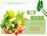 初中  生物  人教版（2024）  七年级上册  第一单元   第二章 认识细胞 第二节 植物细胞 课件