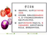初中  生物  人教版（2024）  七年级上册  第一单元   第二章 认识细胞 第二节 植物细胞 课件