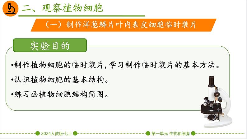 初中  生物  人教版（2024）  七年级上册  第一单元   第二章 认识细胞 第二节 植物细胞 课件08