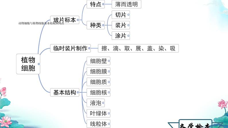 初中  生物  人教版（2024）  七年级上册  第一单元   第二章 认识细胞第三节 动物细胞 课件第1页