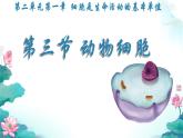 初中  生物  人教版（2024）  七年級上冊  第一單元   第二章 認(rèn)識細(xì)胞第三節(jié) 動物細(xì)胞 課件