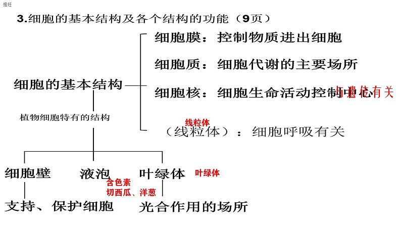 初中  生物  人教版（2024）  七年级上册  第一单元   第二章 认识细胞第三节 动物细胞 课件第8页