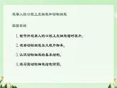 初中  生物  人教版（2024）  七年級上冊  第一單元   第二章 認(rèn)識細(xì)胞第三節(jié) 動物細(xì)胞 課件