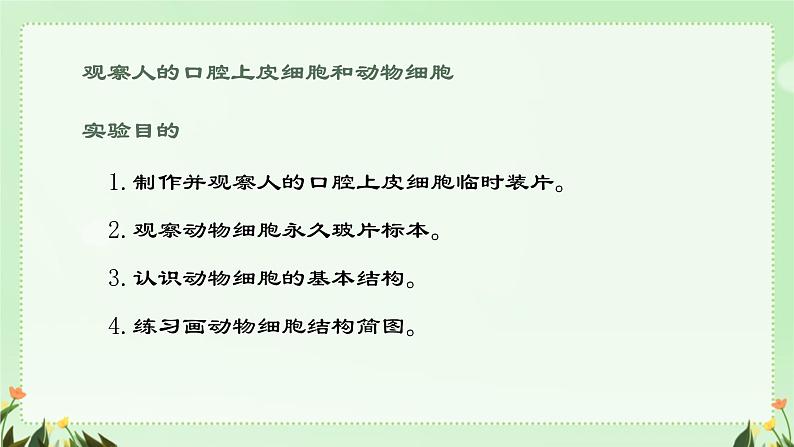 初中  生物  人教版（2024）  七年级上册  第一单元   第二章 认识细胞第三节 动物细胞 课件03