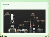 初中  生物  人教版（2024）  七年級上冊  第一單元   第二章 認(rèn)識細(xì)胞第三節(jié) 動物細(xì)胞 課件