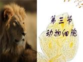 初中  生物  人教版（2024）  七年級上冊  第一單元   第二章 認(rèn)識細(xì)胞第三節(jié) 動物細(xì)胞 課件