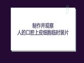 初中  生物  人教版（2024）  七年級上冊  第一單元   第二章 認(rèn)識細(xì)胞第三節(jié) 動物細(xì)胞 課件