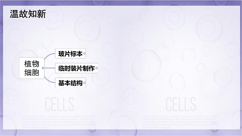 初中  生物  人教版（2024）  七年级上册  第一单元   第二章 认识细胞第三节 动物细胞 课件第4页