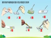 初中  生物  人教版（2024）  七年級上冊  第一單元   第二章 認(rèn)識細(xì)胞第三節(jié) 動物細(xì)胞 課件