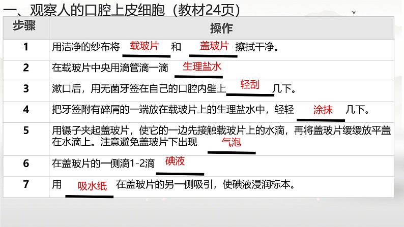 初中  生物  人教版（2024）  七年级上册  第一单元   第二章 认识细胞第三节 动物细胞 课件05