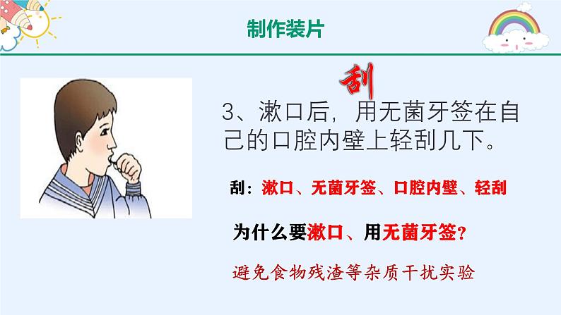 初中  生物  人教版（2024）  七年级上册  第一单元   第二章 认识细胞第三节 动物细胞 课件08