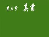 初中  生物  人教版（2024）  七年级上册（2024）  第二单元 多种多样的生物  第三章 微生物 第三节 真菌 课件