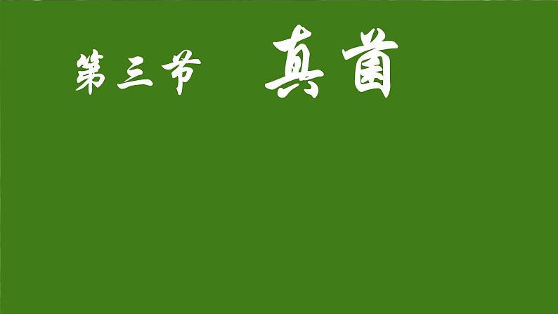 初中  生物  人教版（2024）  七年级上册（2024）  第二单元 多种多样的生物  第三章 微生物 第三节 真菌 课件第2页