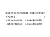 初中生物新人教版七年级上册期中综合检测课件2024秋