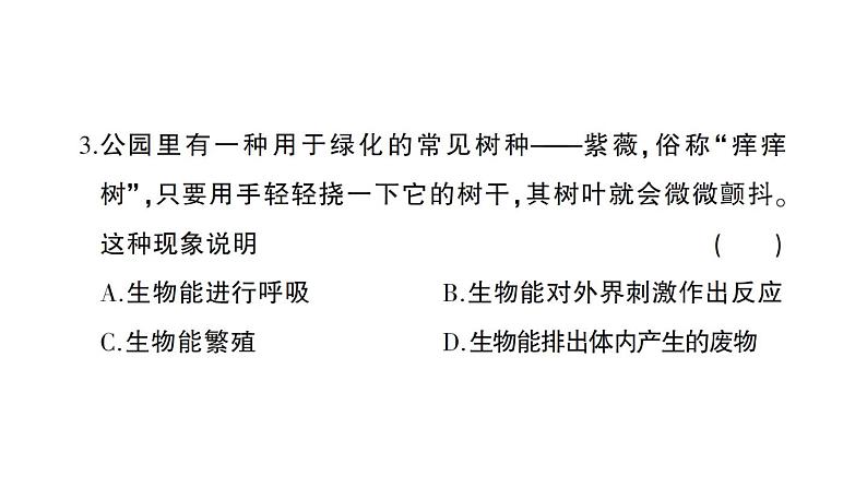 初中生物新人教版七年级上册期中综合检测课件2024秋第4页