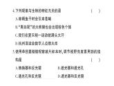 初中生物新人教版七年级上册期中综合检测课件2024秋