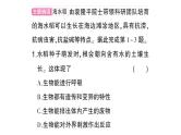初中生物新人教版七年级上册期末情境化试题作业课件2024秋