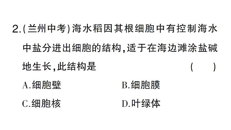 初中生物新人教版七年级上册期末情境化试题作业课件2024秋第3页