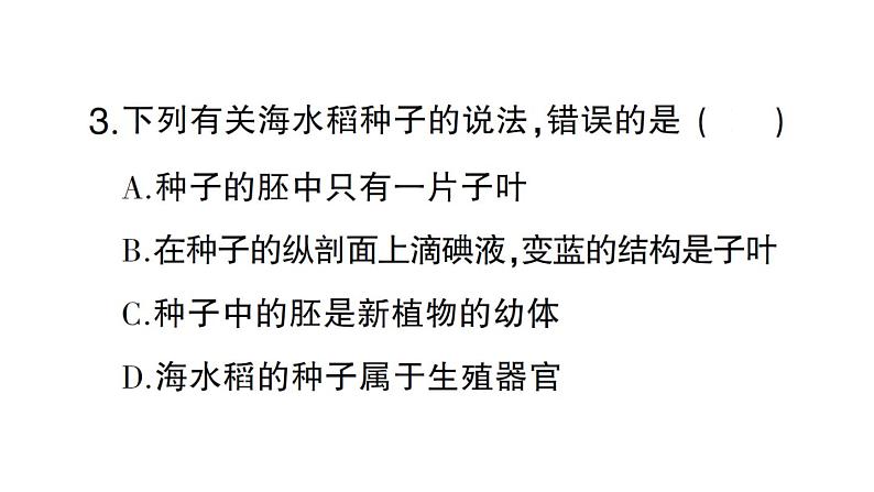 初中生物新人教版七年级上册期末情境化试题作业课件2024秋第4页