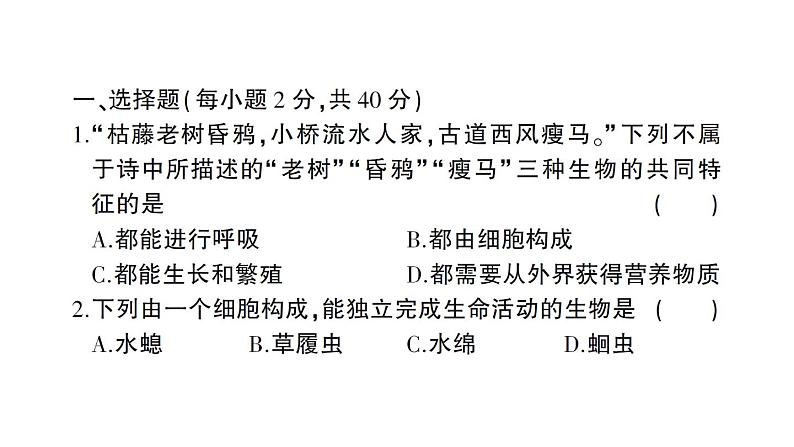 初中生物新人教版七年级上册期末综合检测课件2024秋第2页