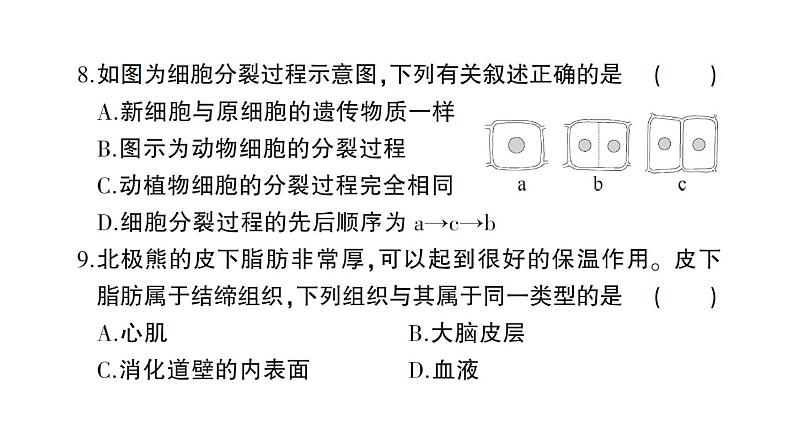 初中生物新人教版七年级上册期末综合检测课件2024秋第6页