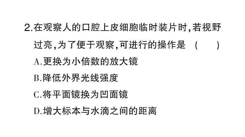 初中生物新人教版七年级上册期末跨学科实践作业课件2024秋第4页