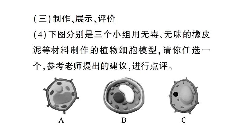 初中生物新人教版七年级上册期末跨学科实践作业课件2024秋第8页