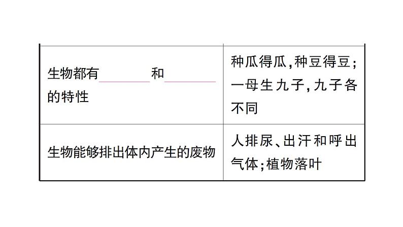 初中生物新人教版七年级上册第一单元第一章第二节 生物的特征作业课件2024秋第4页