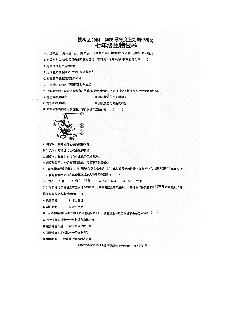 河南省周口市扶沟县2024-2025学年七年级上学期11月期中生物试题第1页