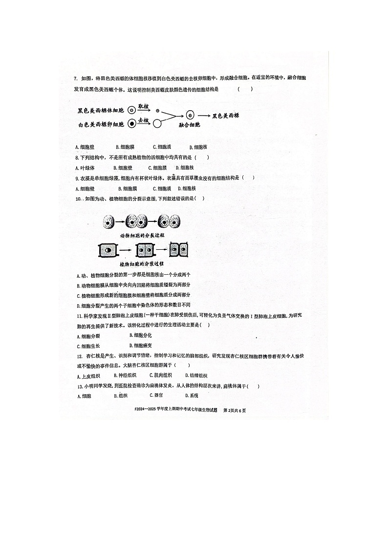 河南省周口市扶沟县2024-2025学年七年级上学期11月期中生物试题第2页