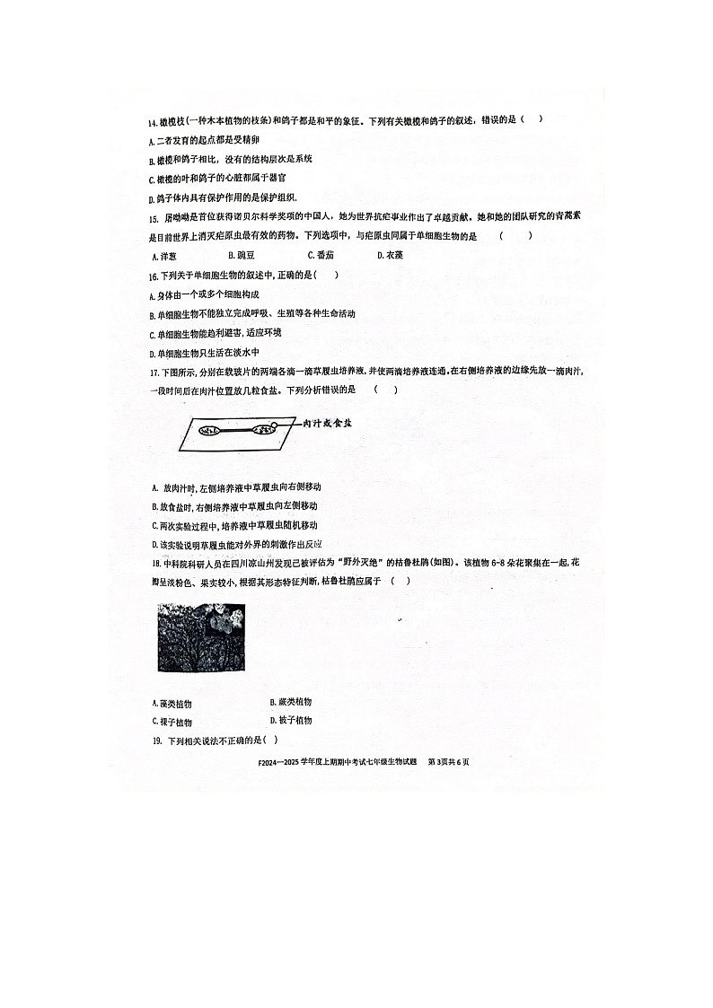河南省周口市扶沟县2024-2025学年七年级上学期11月期中生物试题第3页
