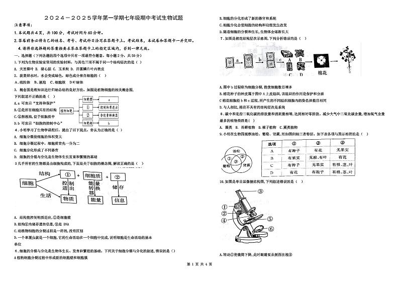 山东省齐河县刘桥乡中学2024-2025学年度第一学期期中考试七年级生物试题第1页