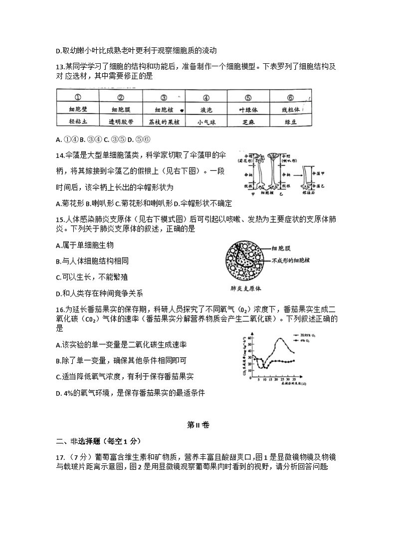 江苏省南通市2024-2025学年七年级上学期11月期中生物试题03