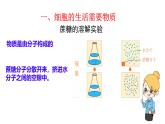 初中  生物  人教版（2024）  七年級(jí)上冊(cè)  第一單元   第二章 認(rèn)識(shí)細(xì)胞  第四節(jié) 細(xì)胞的生活 課件