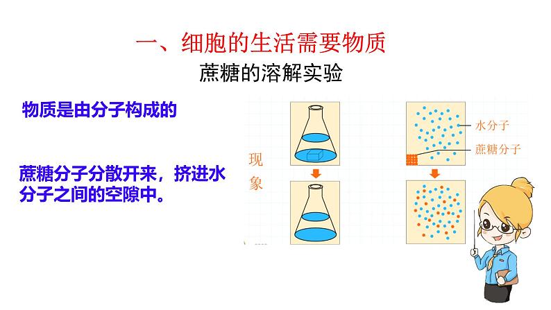 初中  生物  人教版（2024）  七年级上册  第一单元   第二章 认识细胞  第四节 细胞的生活 课件第4页