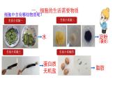 初中  生物  人教版（2024）  七年級(jí)上冊(cè)  第一單元   第二章 認(rèn)識(shí)細(xì)胞  第四節(jié) 細(xì)胞的生活 課件