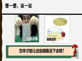 初中  生物  人教版（2024）  七年級(jí)上冊(cè)  第一單元   第二章 認(rèn)識(shí)細(xì)胞  第四節(jié) 細(xì)胞的生活 課件