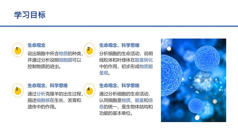 初中  生物  人教版（2024）  七年级上册  第一单元   第二章 认识细胞  第四节 细胞的生活 课件03