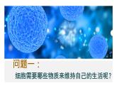 初中  生物  人教版（2024）  七年級(jí)上冊(cè)  第一單元   第二章 認(rèn)識(shí)細(xì)胞  第四節(jié) 細(xì)胞的生活 課件
