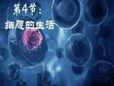 初中  生物  人教版（2024）  七年级上册  第一单元   第二章 认识细胞  第四节 细胞的生活 课件