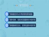 初中  生物  人教版（2024）  七年级上册  第一单元   第二章 认识细胞  第四节 细胞的生活 课件