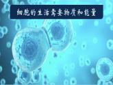 初中  生物  人教版（2024）  七年级上册  第一单元   第二章 认识细胞  第四节 细胞的生活 课件