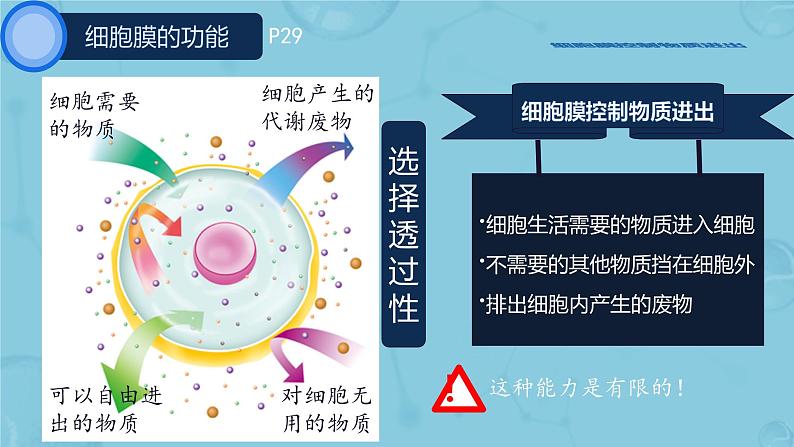 初中  生物  人教版（2024）  七年级上册  第一单元   第二章 认识细胞  第四节 细胞的生活 课件第8页