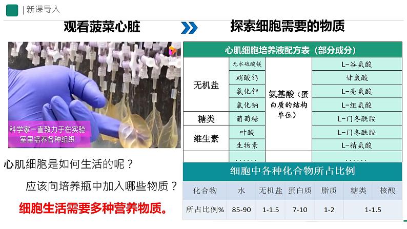 初中  生物  人教版（2024）  七年级上册  第一单元   第二章 认识细胞  第四节 细胞的生活 课件第2页