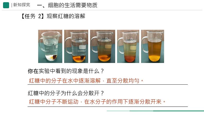 初中  生物  人教版（2024）  七年级上册  第一单元   第二章 认识细胞  第四节 细胞的生活 课件第4页