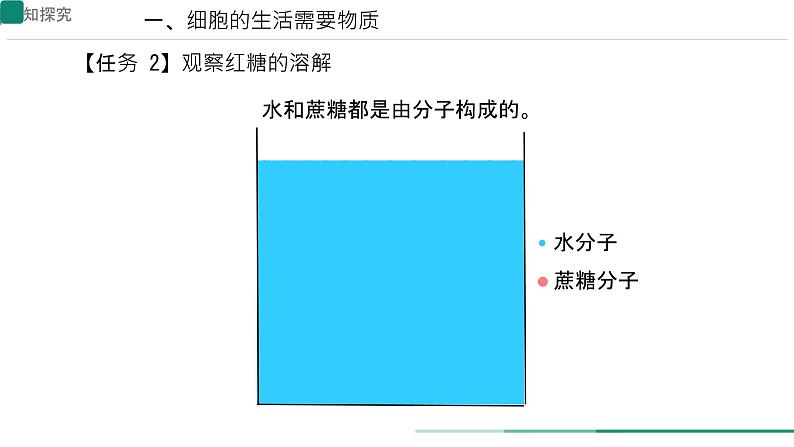 初中  生物  人教版（2024）  七年级上册  第一单元   第二章 认识细胞  第四节 细胞的生活 课件第5页