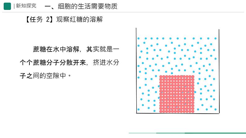 初中  生物  人教版（2024）  七年级上册  第一单元   第二章 认识细胞  第四节 细胞的生活 课件第6页