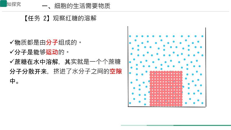 初中  生物  人教版（2024）  七年级上册  第一单元   第二章 认识细胞  第四节 细胞的生活 课件第7页