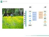初中  生物  人教版（2024）  七年级上册  第一单元   第二章 认识细胞  第四节 细胞的生活 课件